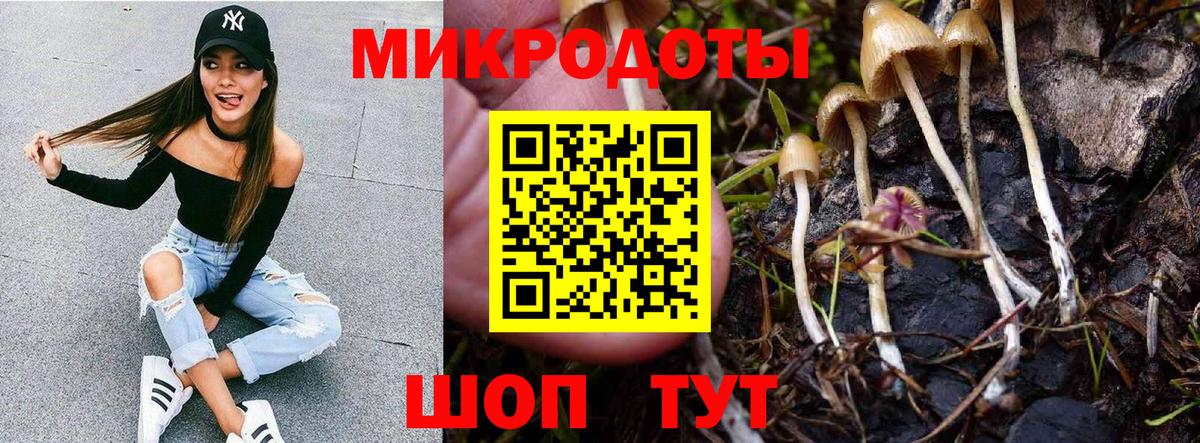 Псилоцибиновые грибы Psilocybe  Вход с VPN  Кириши 